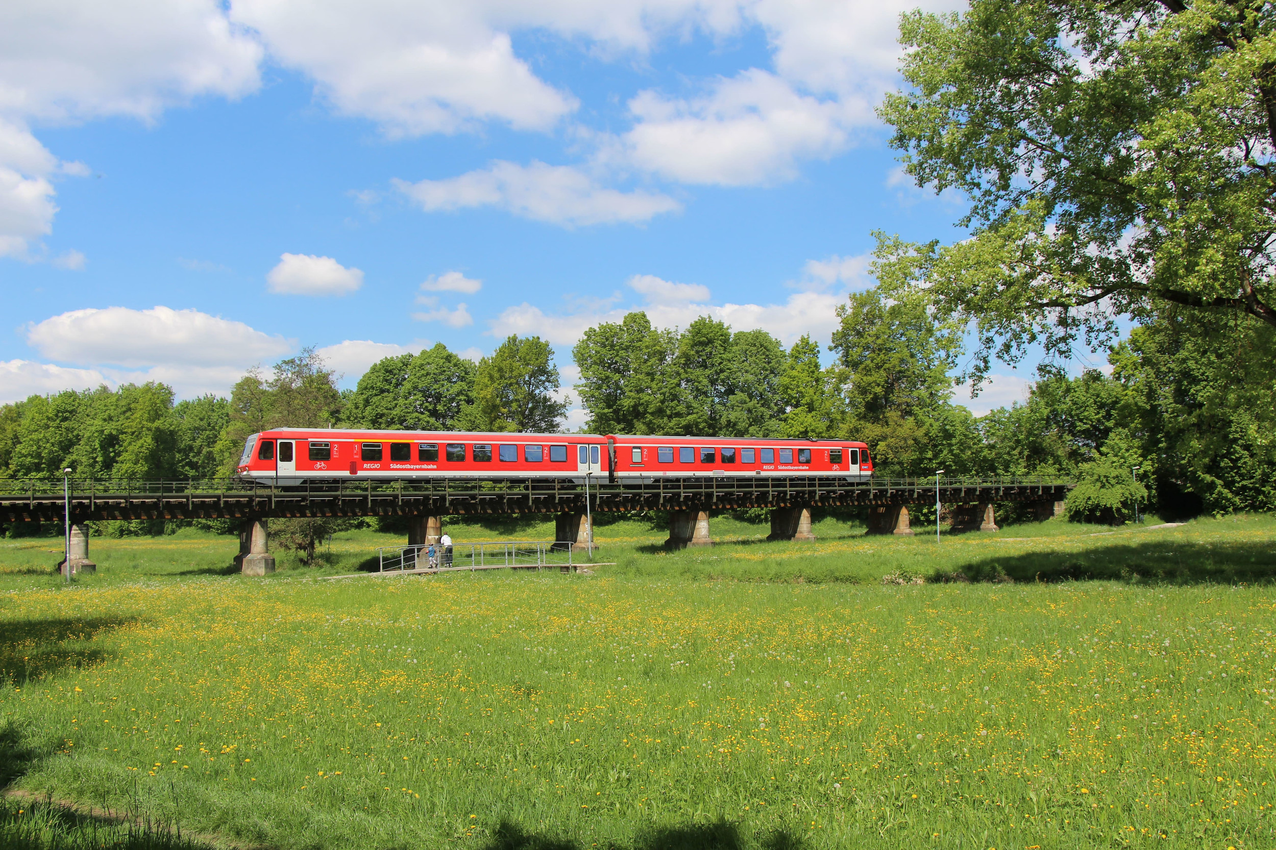 Roter Dieselzug auf einer Brücke über weite Wiese